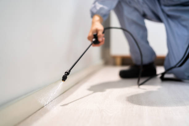 Licensed Termite Control service in Richmond County County, NY - Nex Pest Control