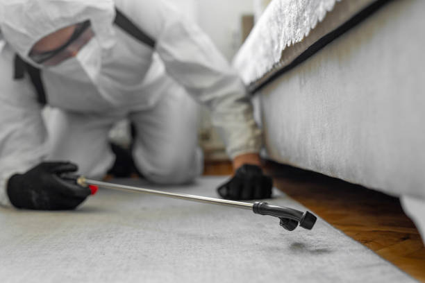 Professional Termite Control technician working in Richmond County County, NY